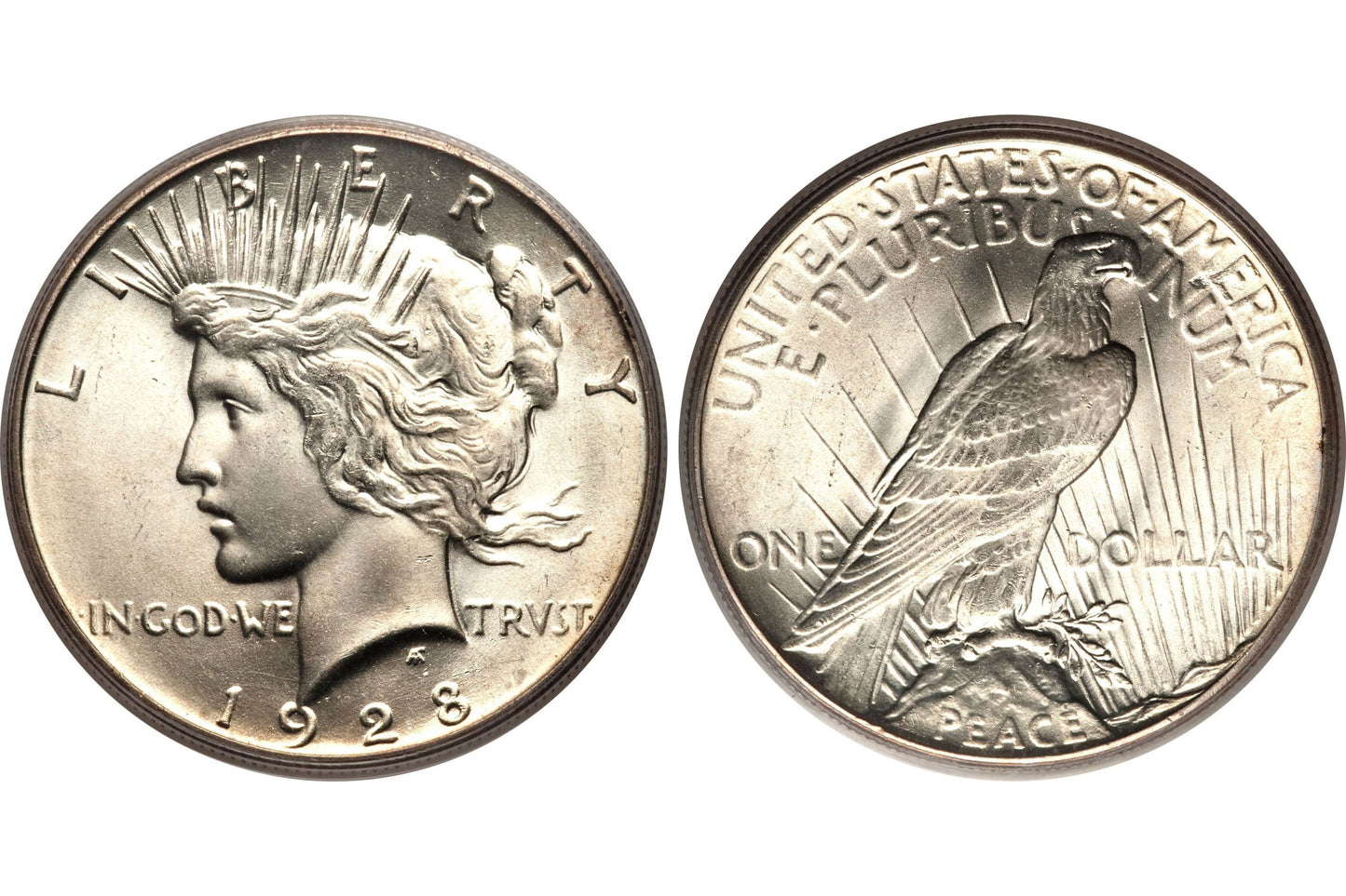 Last 8 Sets!!!The Complete Collection of 1921~1935 Peace Silver Dollar-ABB8