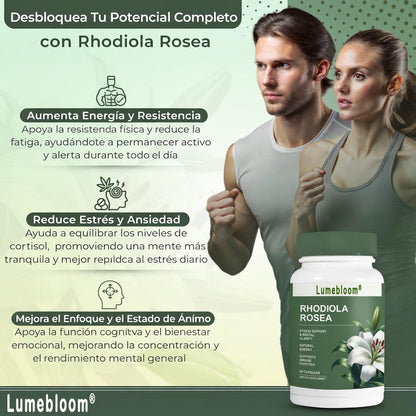 🚀 ¡Energía Max, Cero Estrés y Baja de Peso! ✨ Rhodiola Rosea: Tu Adaptógeno 4-en-1 🛡️GD